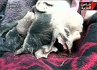 Opfer des mrderischen Raubberfalls